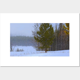 Blizzard in Kananaskis. Posters and Art